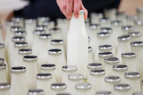 شیر تولیدی گیلان به جمهوری آذربایجان صادر شد