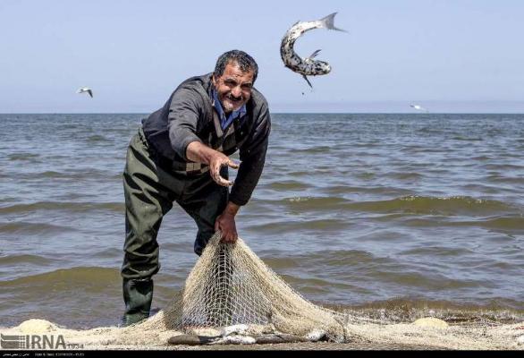 افزایش 30 درصدی صید ماهیان استخوانی دریای خزر 