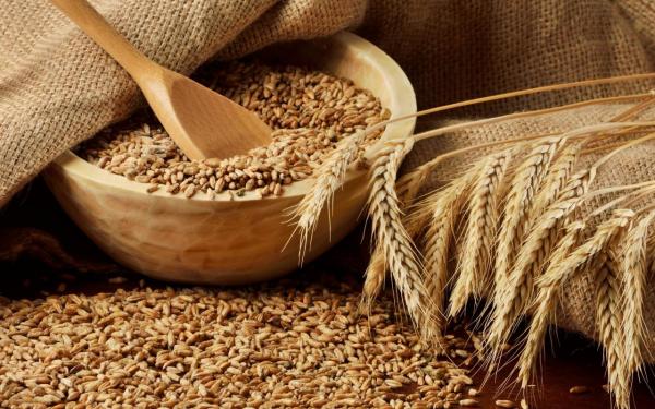 کاهش واردات گندم به آذربایجان 