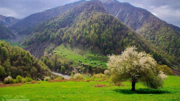 Azerbaijan’s national parks cause great interest among tourists
