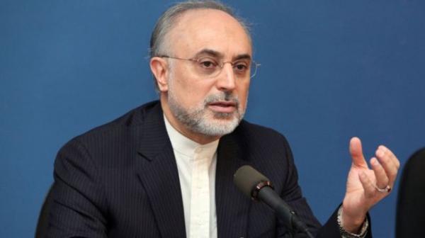 Iran focused on small reactors: Salehi